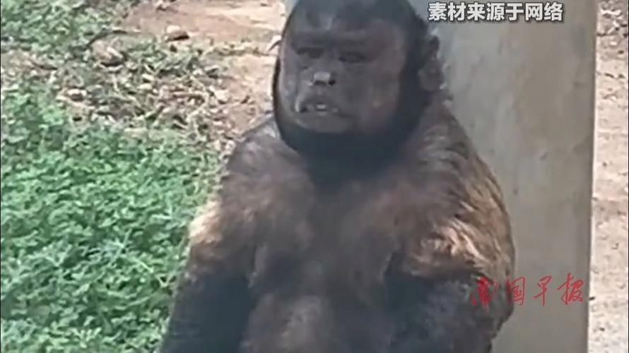 admin 第34页