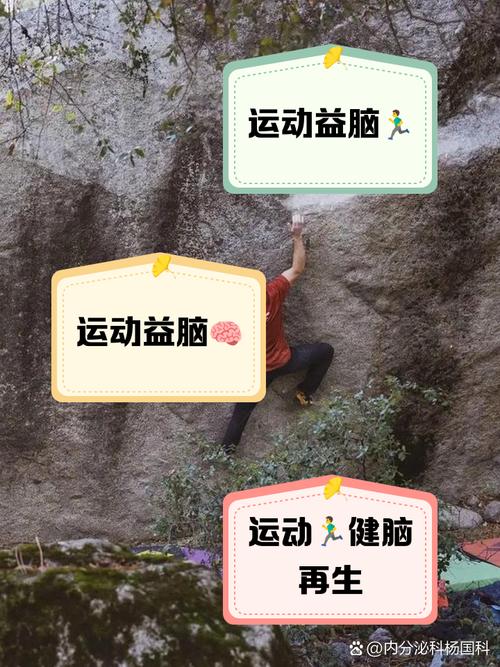15个锻炼大脑的方法,15个锻炼大脑的方法视频